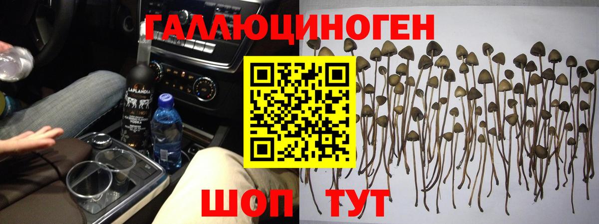 Псилоцибиновые грибы Psilocybine cubensis  где продают наркотики  Псилоцибиновые грибы Psilocybine cubensis  Лобня  Вход с VPN 