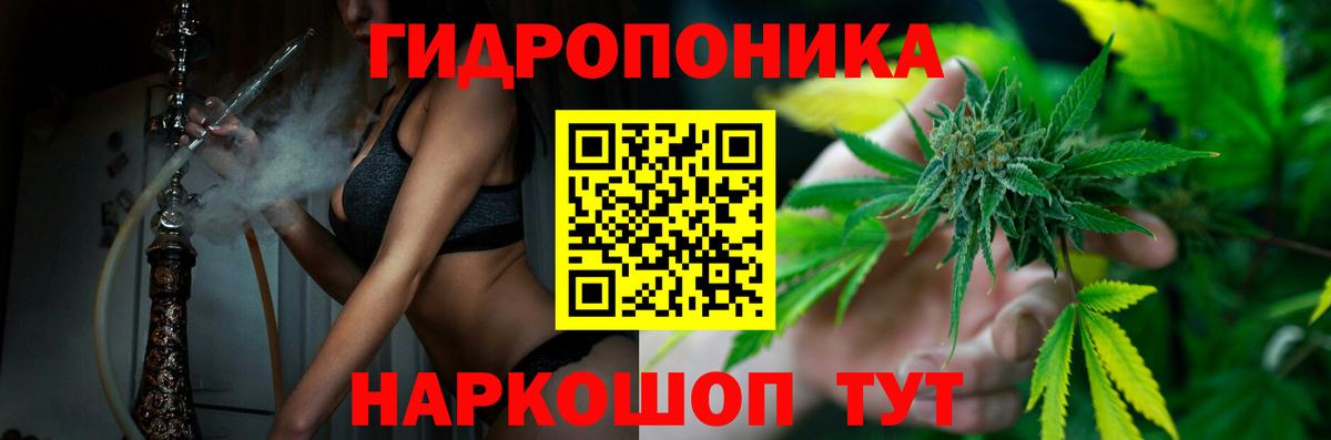 Бошки Шишки Amnesia Лобня